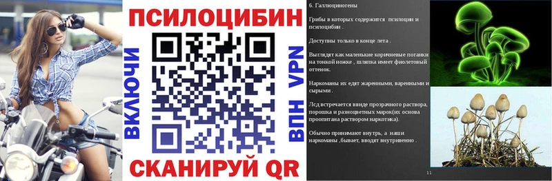 kraken вход  Каргат  Галлюциногенные грибы мухоморы 